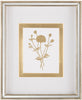 John Richard Decor Golden Botanicals II
