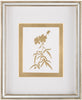 John Richard Decor Golden Botanicals III