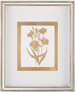 John Richard Decor Golden Botanicals IV