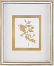 John Richard Decor Golden Botanicals V