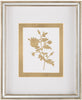 John Richard Decor Golden Botanicals V
