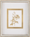 John Richard Decor Golden Botanicals VI