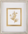 John Richard Decor Golden Botanicals VII
