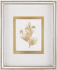 John Richard Decor Golden Botanicals VII