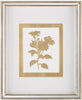 John Richard Decor Golden Botanicals IX