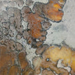 John Richard Decor Brendan Parker's Dragons II