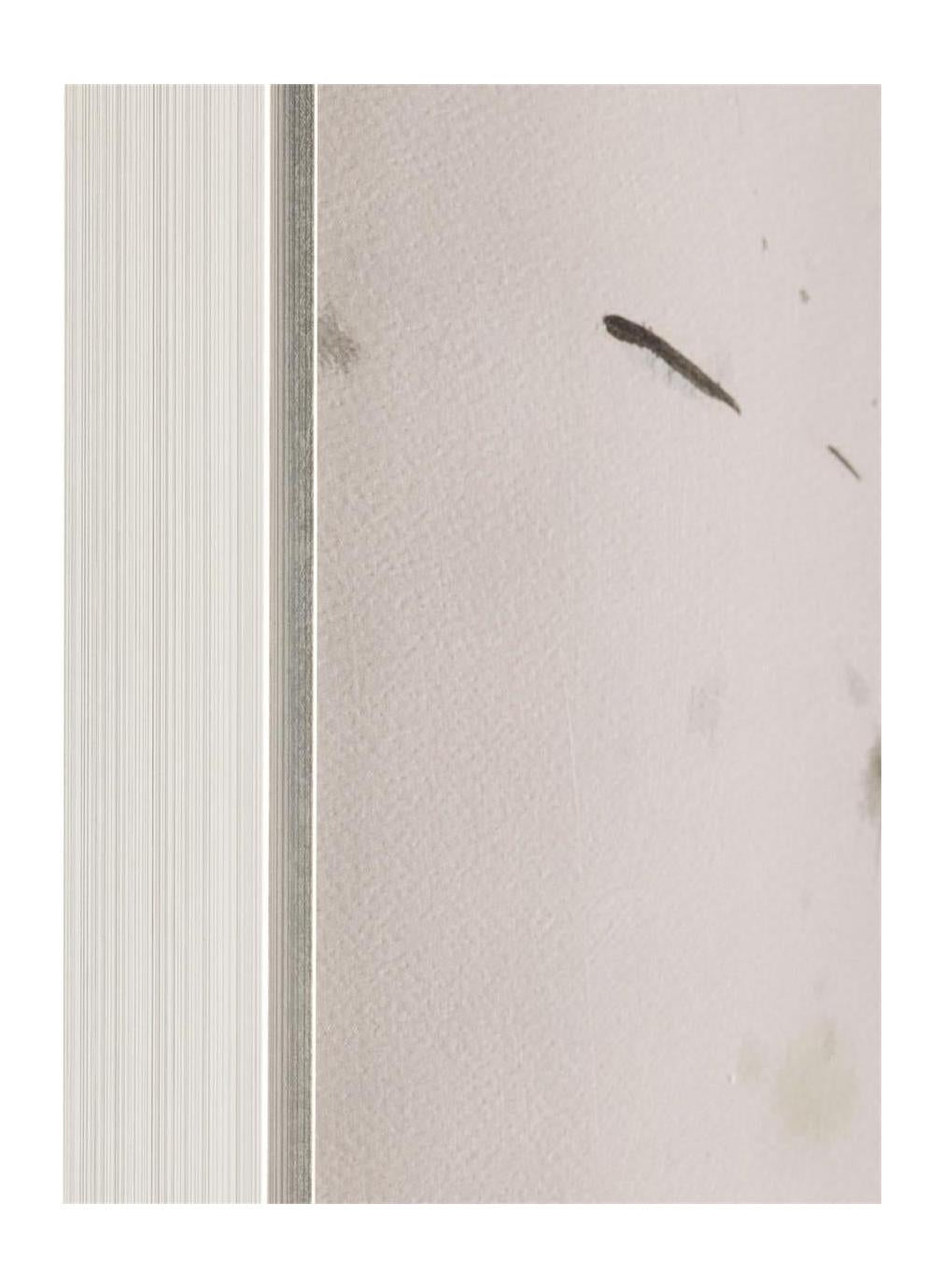 John Richard Decor Natural Glow I
