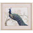 John Richard Decor Tim O'Toole's Peacock and Blossoms I