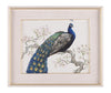 John Richard Decor Tim O'Toole's Peacock and Blossoms II