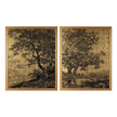 John Richard Grand Oaks Gold, Set of 2