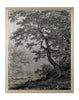 John Richard Decor Grand Oaks Silver I
