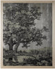 John Richard Decor Grand Oaks Silver II