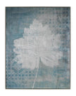 John Richard Decor Belle Poesia's Transparent Botanicals II