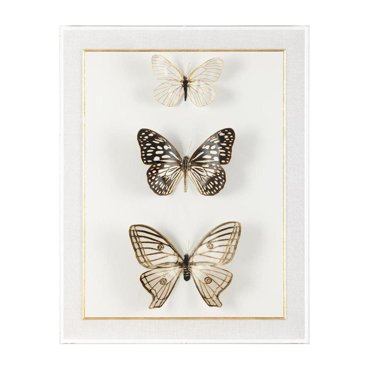 John Richard Decor Echoes of Change