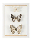 John Richard Decor Echoes of Change