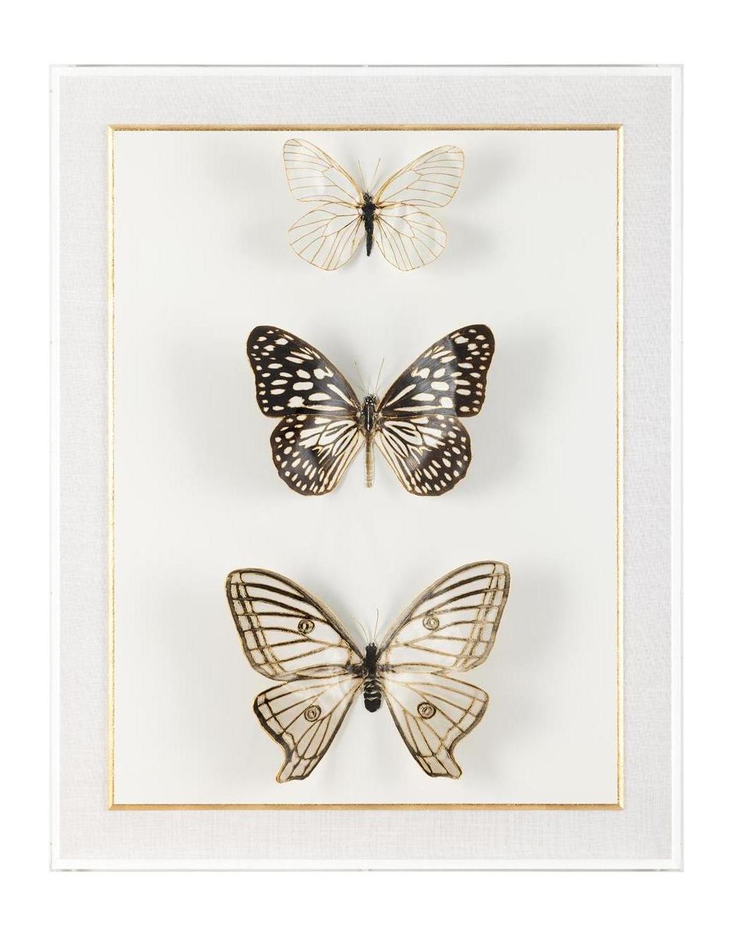 John Richard Decor Echoes of Change