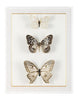 John Richard Decor Echoes of Change