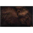 John Richard Decor Rodney Bursiel's All Ears