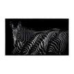 John Richard Decor Rodney Bursiel's Dazzle of Grevys