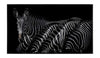 John Richard Decor Rodney Bursiel's Dazzle of Grevys