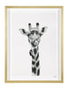 John Richard Decor Rodney Bursiel's What?