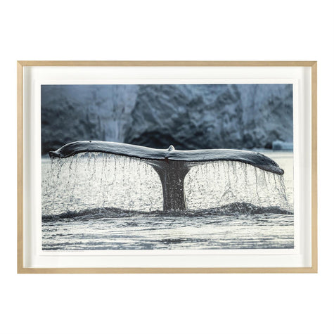 John Richard Rodney Bursiel's Whale of a Tale