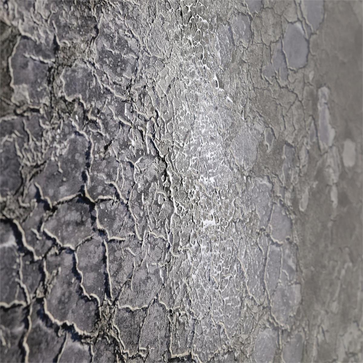 John Richard Rodney Bursiel's Salt Fields