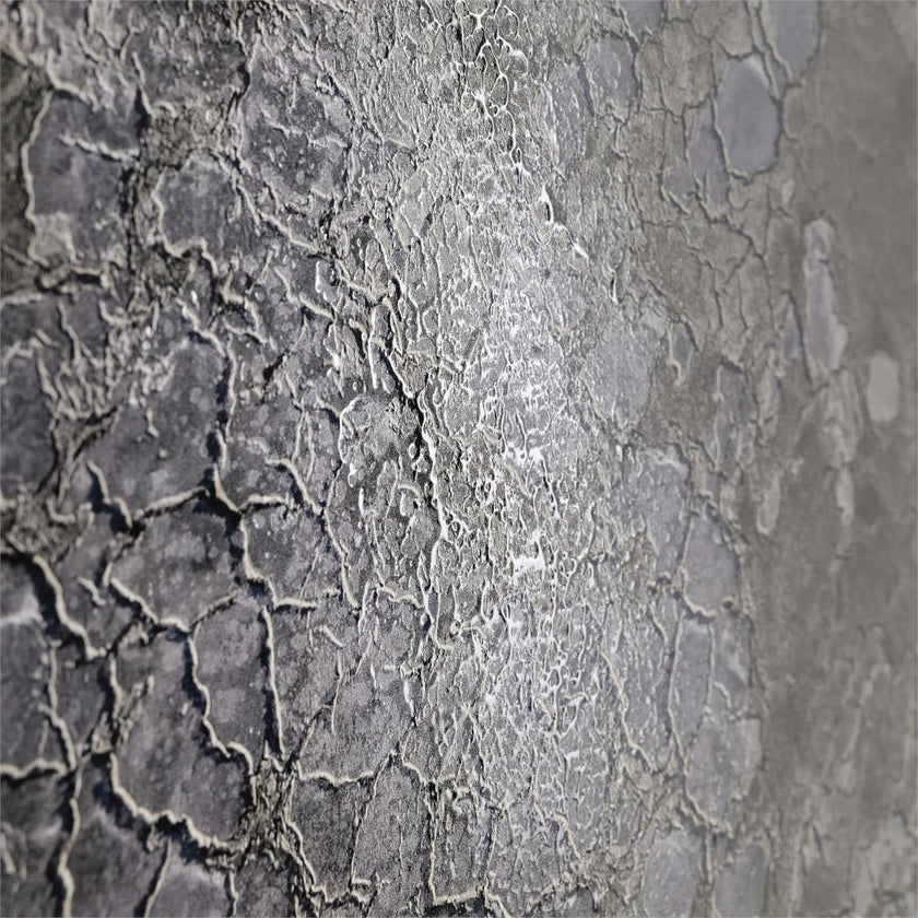 John Richard Rodney Bursiel's Salt Fields