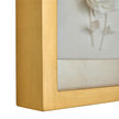 John Richard Porcelain Flora Wall Art II
