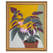 John Richard Michael Pfleghaar's Polka Dot Begonia