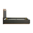 Michael Amini Kayner Bed with LED Lights - Charcoal