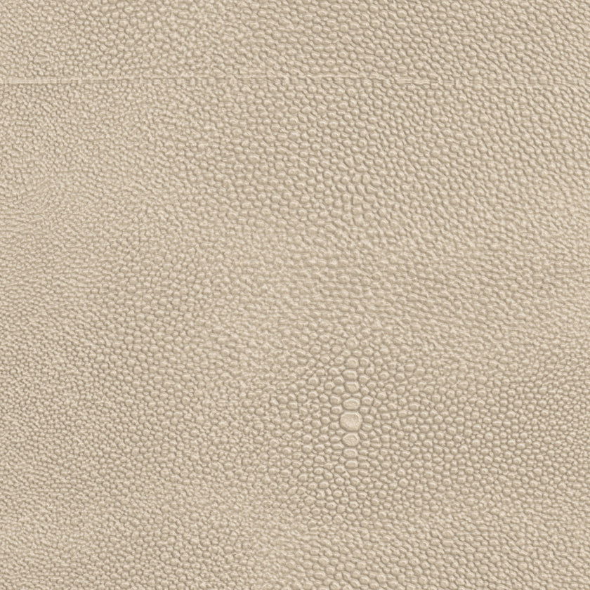 Caracole Upholstery Nice