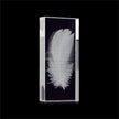 John Richard Decor Crystal-Encased Feather