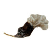 John Richard Decor Auburn Leaf Bowl