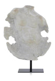 John Richard Decor Evolving Torso Sculpture II