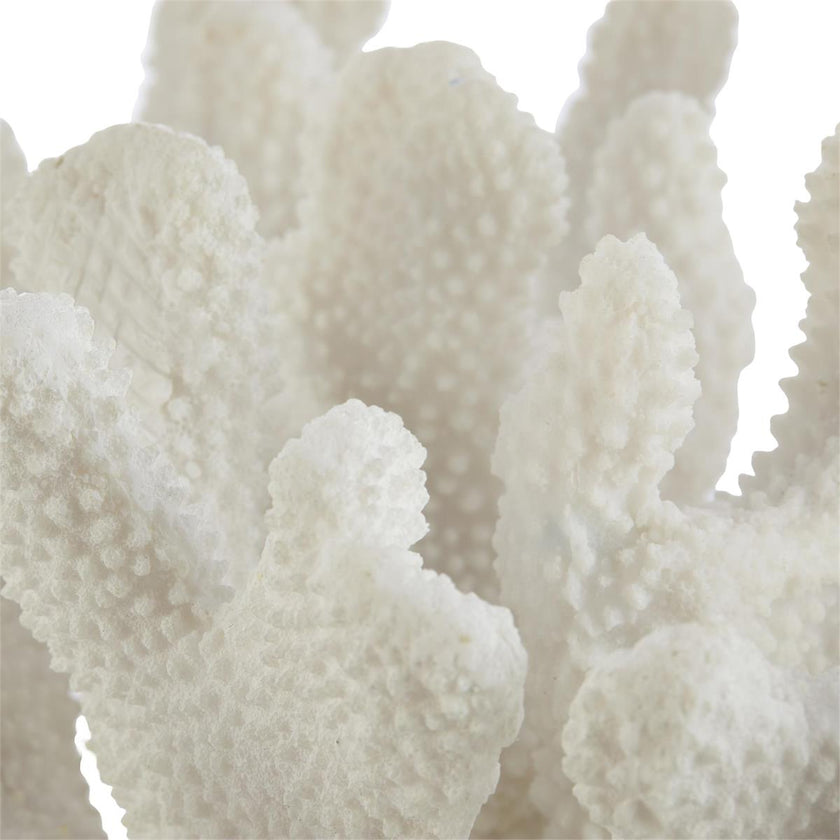 John Richard Coral Sculpture on Crystal