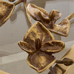 John Richard Mirabelle Box