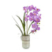 John Richard Asian Orchids
