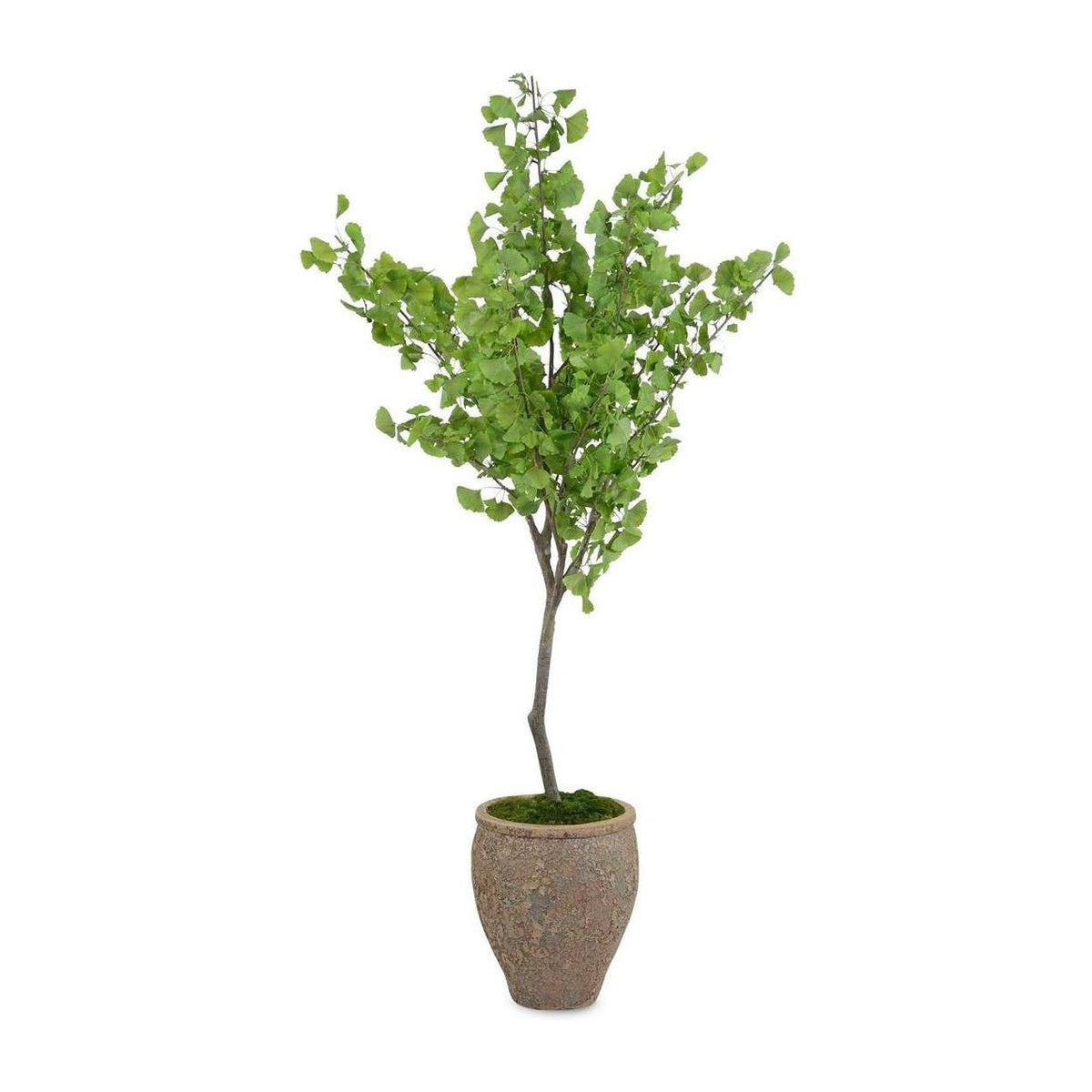 John Richard Decor Atlantis Ginko