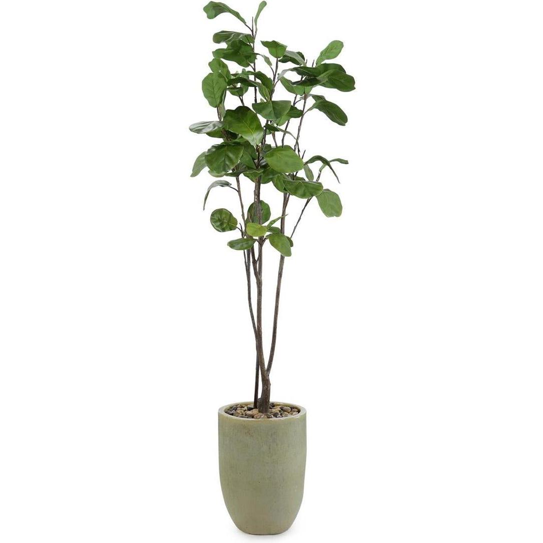 John Richard Decor Tall and Slender Fiddle Leaf Fig