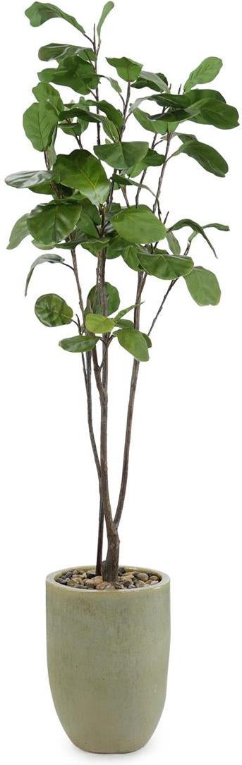John Richard Decor Tall and Slender Fiddle Leaf Fig