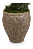 John Richard Decor Garden Rosemary Spiral