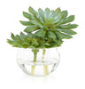 John Richard Decor Double Succulent