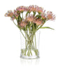 John Richard Decor Cushion Protea