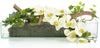 John Richard Decor Woodland Wonders