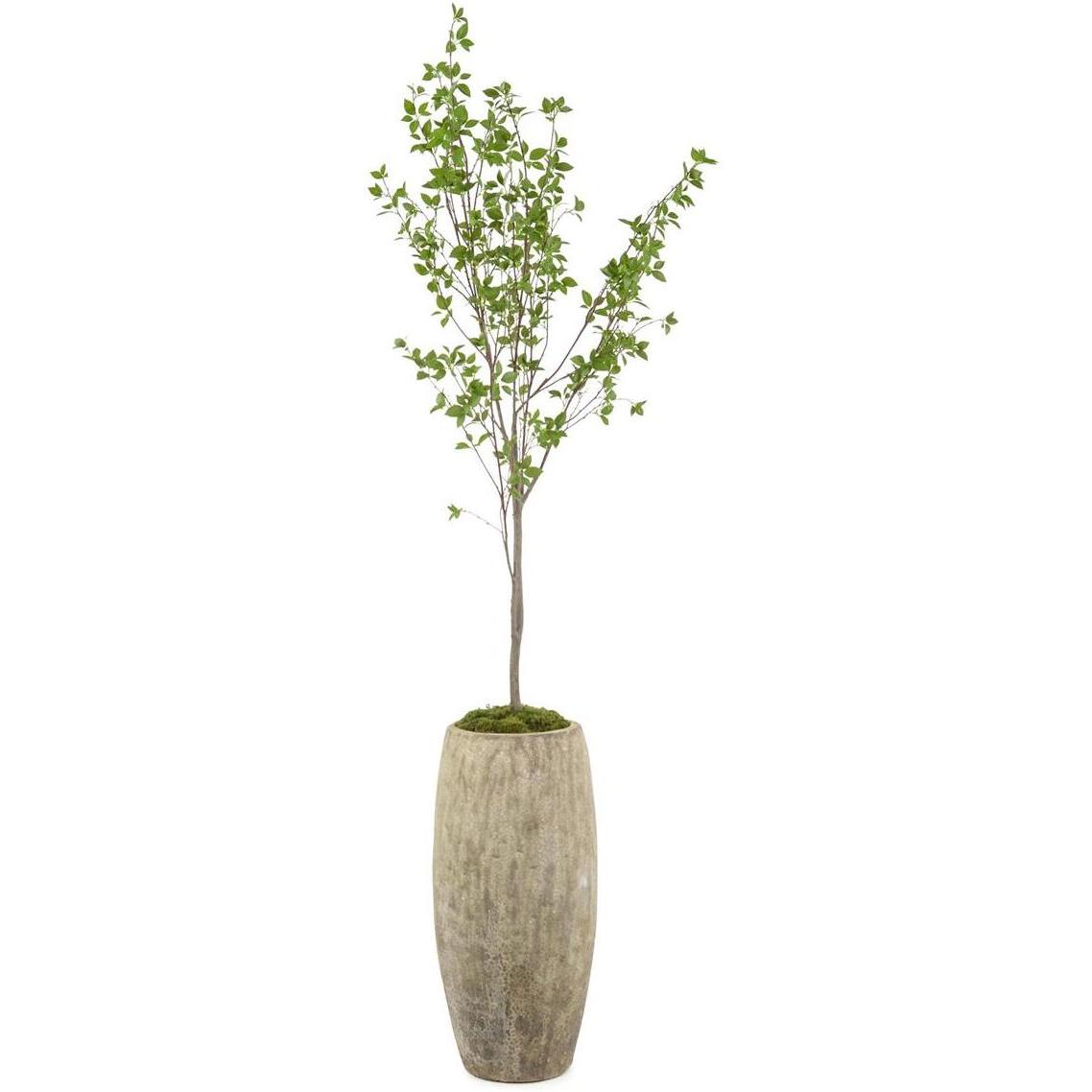 John Richard Decor Red Twig Dogwood