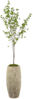 John Richard Decor Red Twig Dogwood