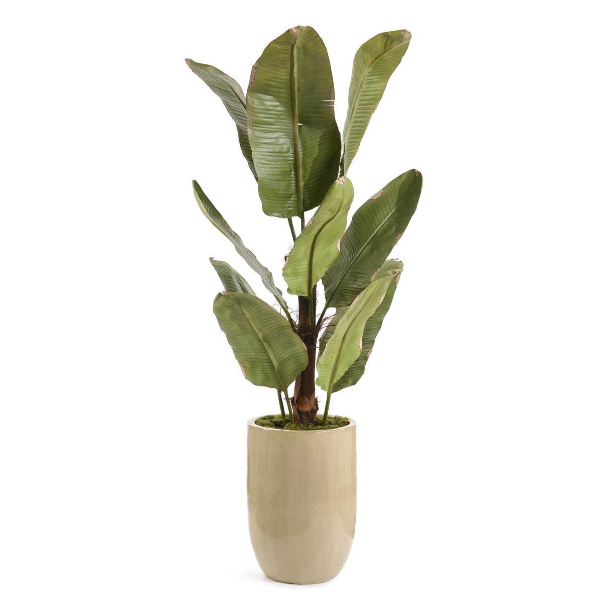 John Richard Decor The New Banana