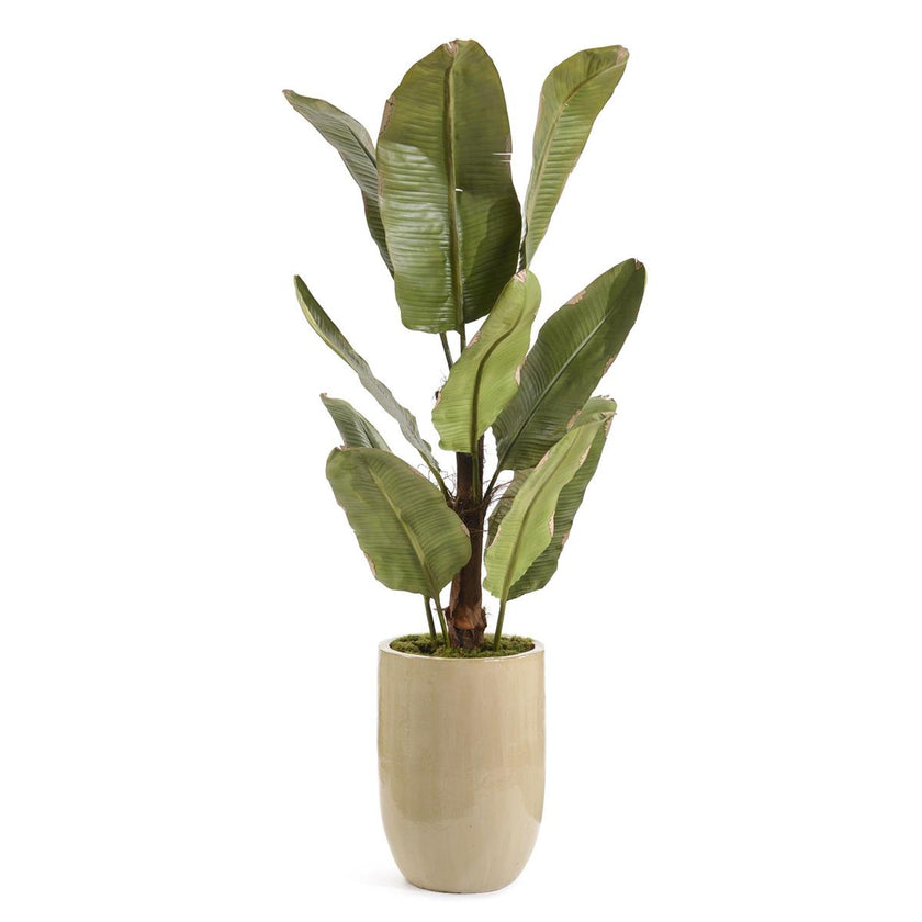 John Richard Decor The New Banana