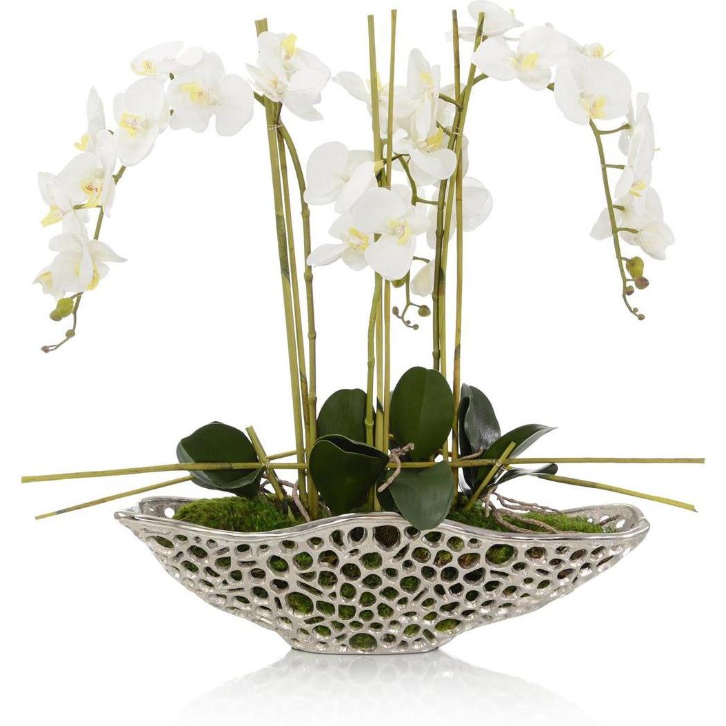 John Richard Decor Orchid Display